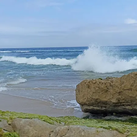 Apartman Tinyhouse Tilda - Near Famous Beaches Pataias