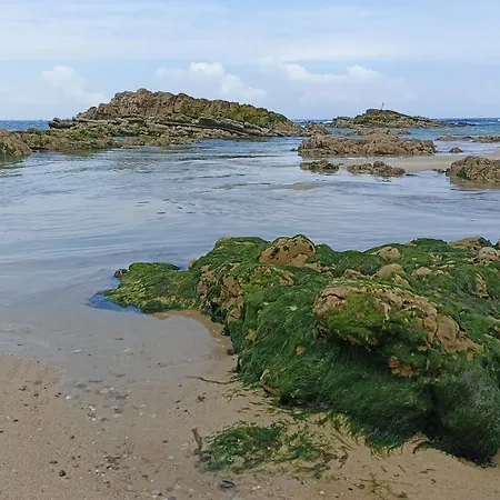 Apartman Tinyhouse Tilda - Near Famous Beaches *