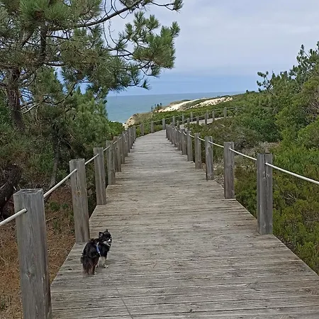 Apartman Tinyhouse Tilda - Near Famous Beaches