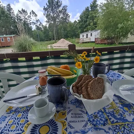 Tinyhouse Tilda - Near Famous Beaches * Pataias