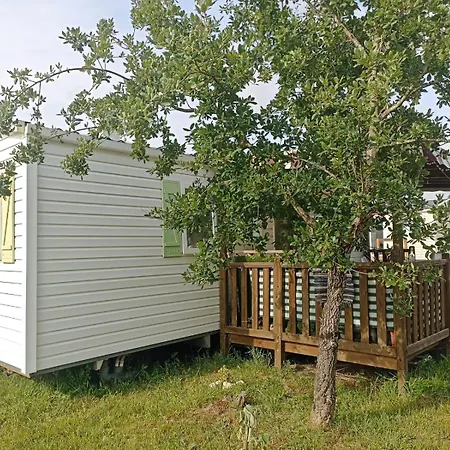 Tinyhouse Tilda - Near Famous Beaches * Pataias