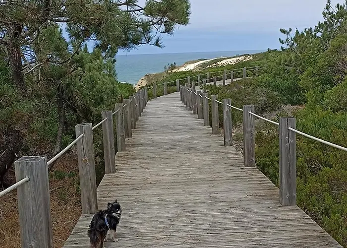 Apartmán Tinyhouse Tilda - Near Famous Beaches